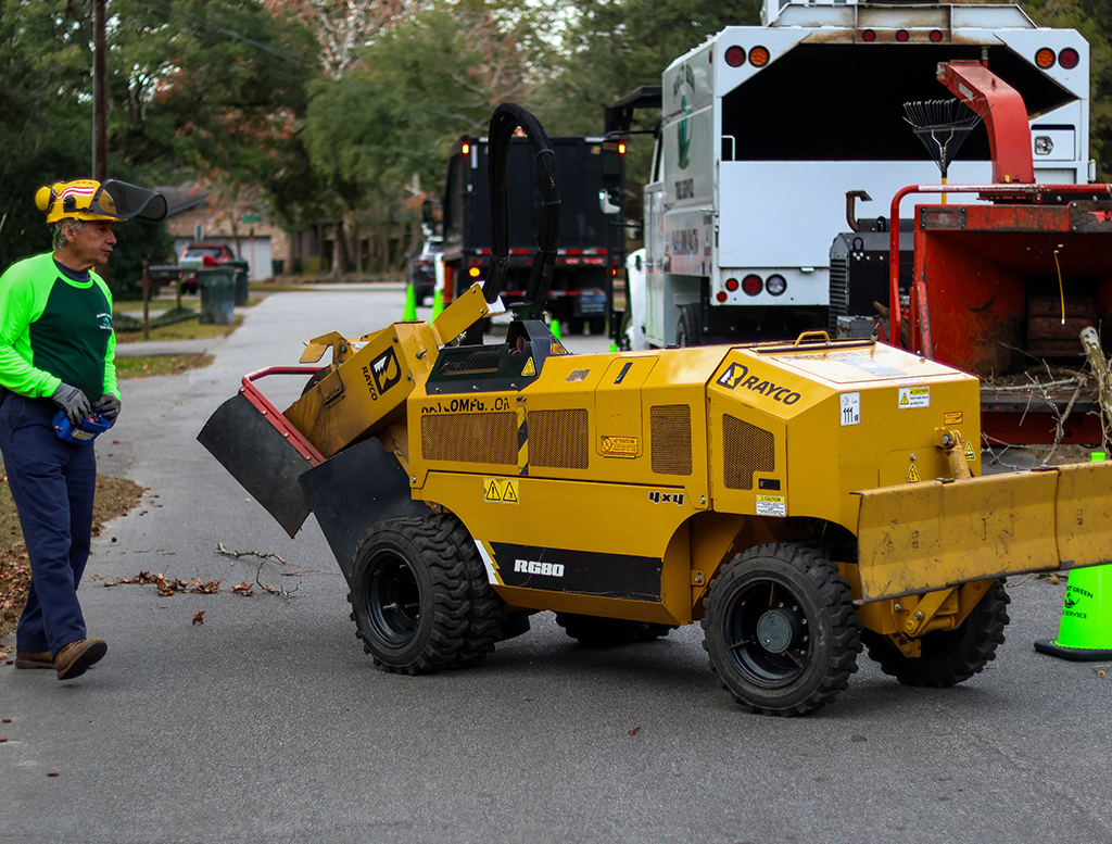  Tree Trimming Service Charleston, SC