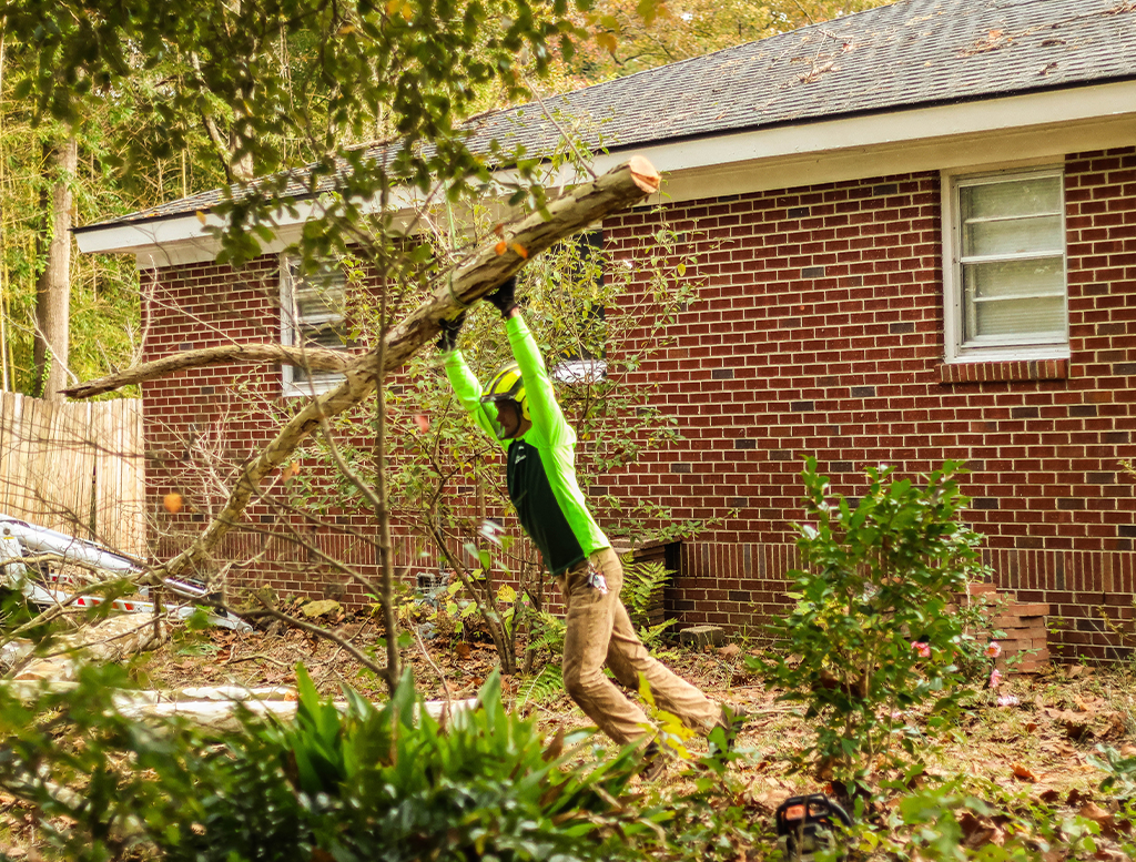  Tree Service Goose Creek, SC